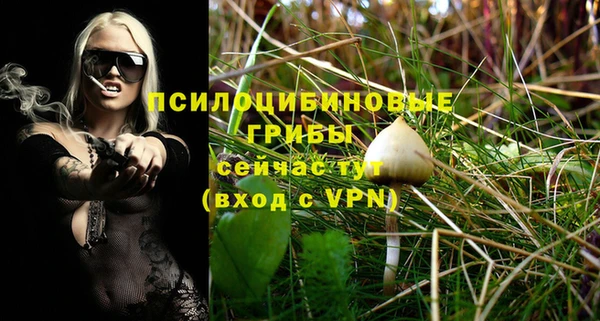 прущая мука Арсеньев
